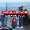 Map: Exploring NYC's Weird & Wild Animal History